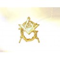 Vermeil masonic lapel pin