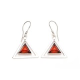 Buckles of ears amber triangle